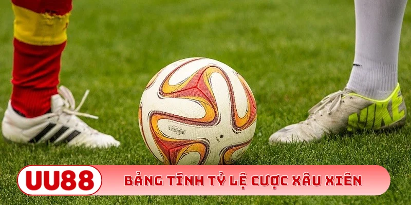Bảng tính tỷ lệ cược xâu xiên chuẩn