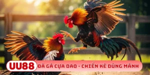 đá gà cựa dao