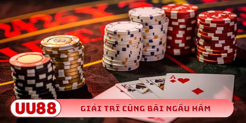 Giải trí cùng bài ngầu hầm