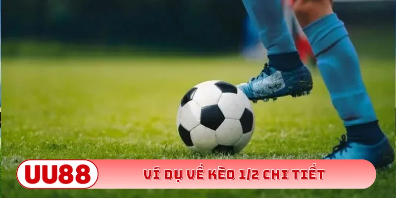 Ví dụ về kèo 1/2 chi tiết